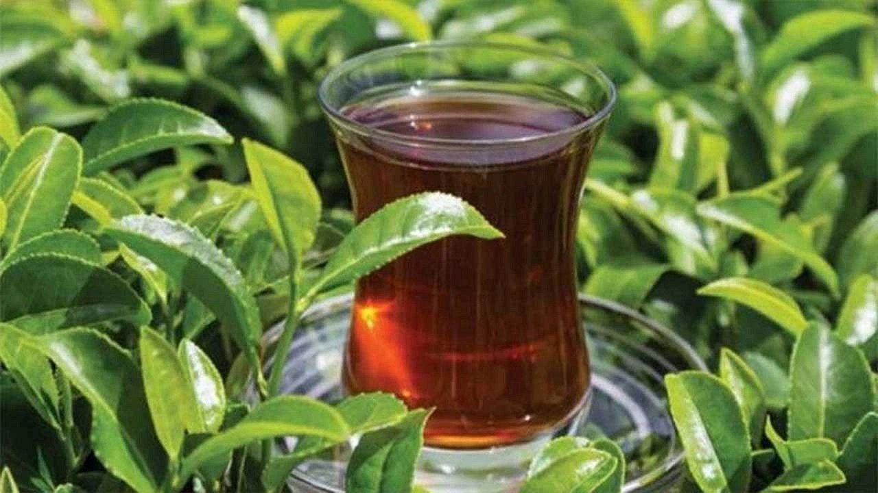 A101, ŞOK ve Migros’ta Çay Fiyatları Değişti! 1 Kiloluk Çayda En Ucuz Market Hangisi Oldu?